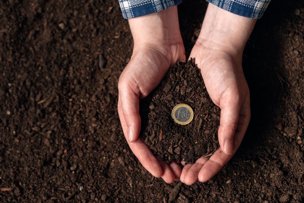 A person holding soil with a coin in it.