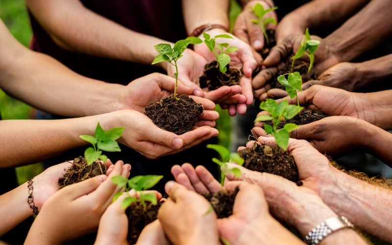 A group of people holding plants in their hands.